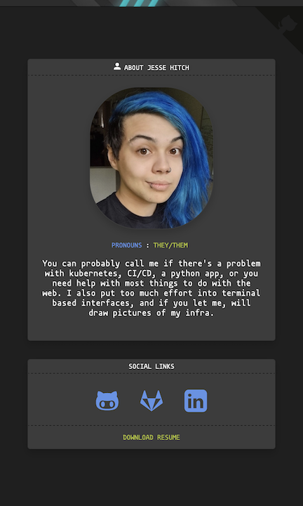 screenshot of jessebot.work which serves as an example website. It features a picture of Jesse a person with blue hair that is 31. There is a blurb about them that you can read in tiny_personal_website/config/config.yaml and link icons to github, gitlab, and linkedin.